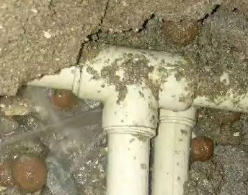 霍城测漏水多少钱