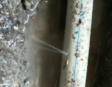 霍城测漏水哪家好