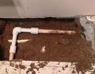 霍城测漏水哪家好