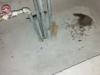 霍城卫生间测漏水价格明细