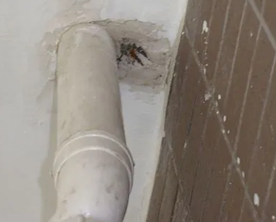 霍城漏水检测哪家好